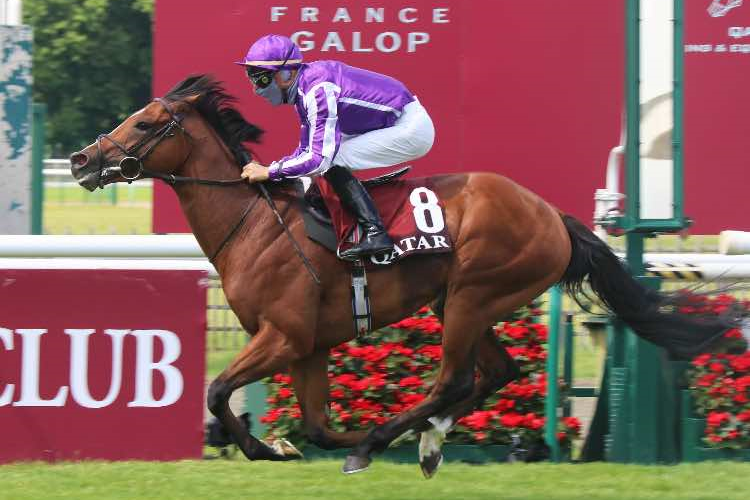 ST MARK'S BASILICA winning the Prix du Jockey Club.