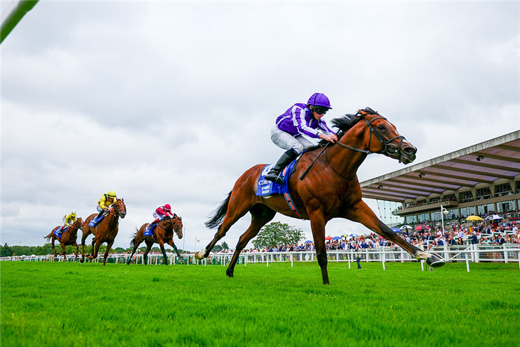 ST MARK'S BASILICA winning the Coral-Eclipse (Group 1) (British Champions Series)