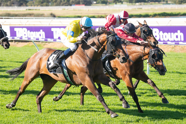 STAFFORD'S LAD winning the A.T.A. Stakes at Ascot in Australia.