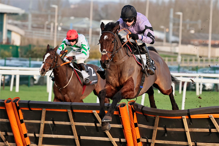 STAGE STAR winning the MansionBet Challow Novices' Hurdle (Grade 1) (GBB Race)