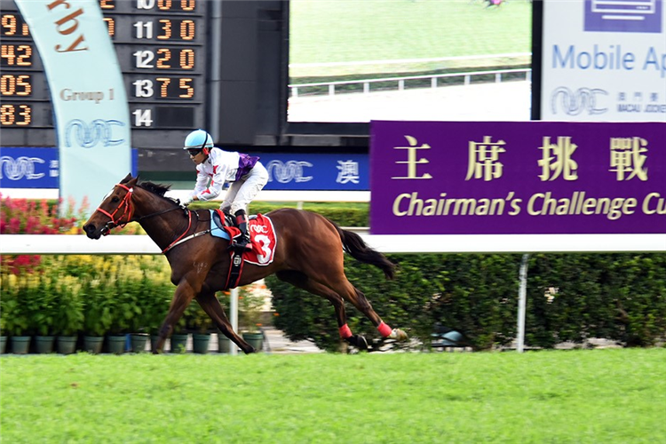 STAR OF YIU CHEUNG winning the CHAIRMAN'S CHALLENGE CUP (GROUP 1-OPEN)