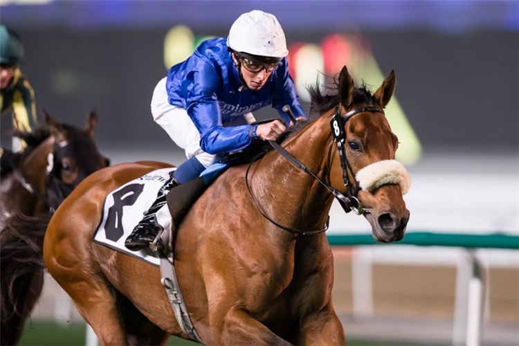 STAR SAFARI winning the Dubai Millennium Stakes Sponsored By gulfnews.com