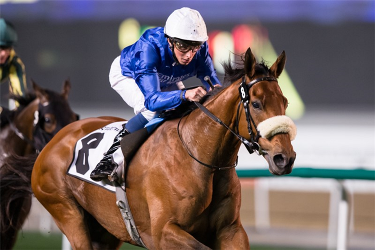 STAR SAFARI winning the Dubai Millennium Stakes.