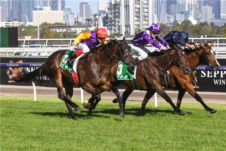 STARELLE (red cap) winning the Kewney Stakes at Flemington in Australia.