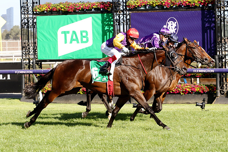 STARELLE winning the Tab Kewney Stakes