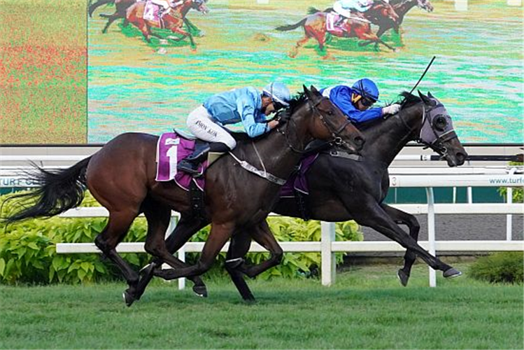 STARLIGHT winning the SINGAPORE THREE-YEAR-OLD CLASSIC GROUP 2