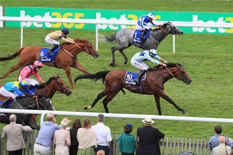 STARMAN winning the Darley July Cup Stakes (Group 1)