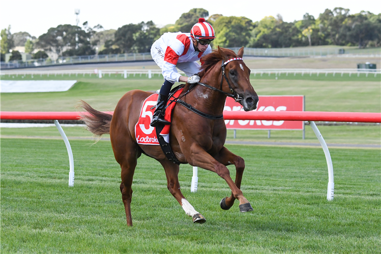 STARRY LEGEND winning the IVE > Print Plate at Ladbrokes Park Hillside in Springvale, Australia.