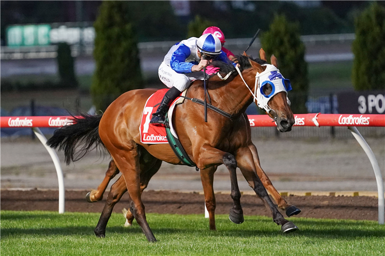 STARSPANGLED BABY winning the Countrywide Advice Handicap at Moonee Valley in Moonee Ponds, Australia.