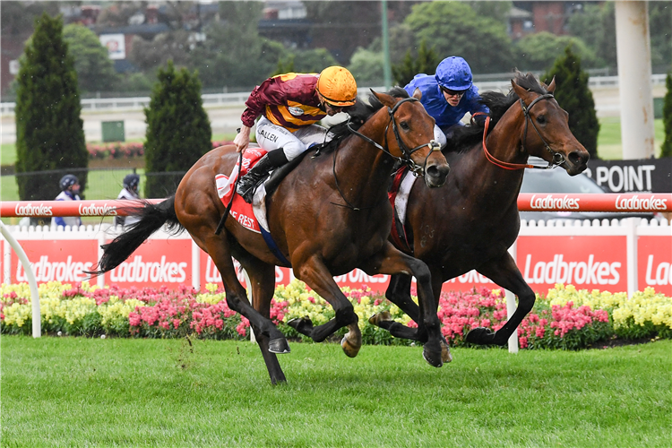STATE OF REST (orange cap) winning the Cox Plate at Moonee Valley in Australia.
