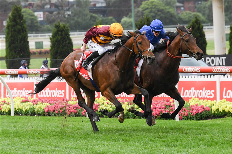 STATE OF REST (orange cap) was the winner of a Prix Ganay.