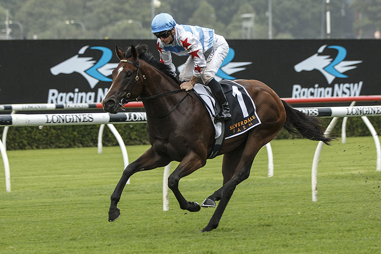 STAY INSIDE winning the Silverdale Farm Pierro Plate