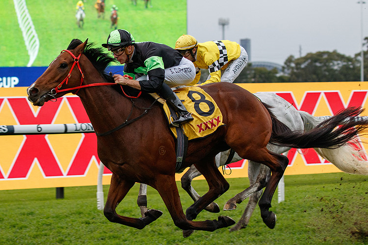 STOCKMAN winning the XXXX W J McKell Cup