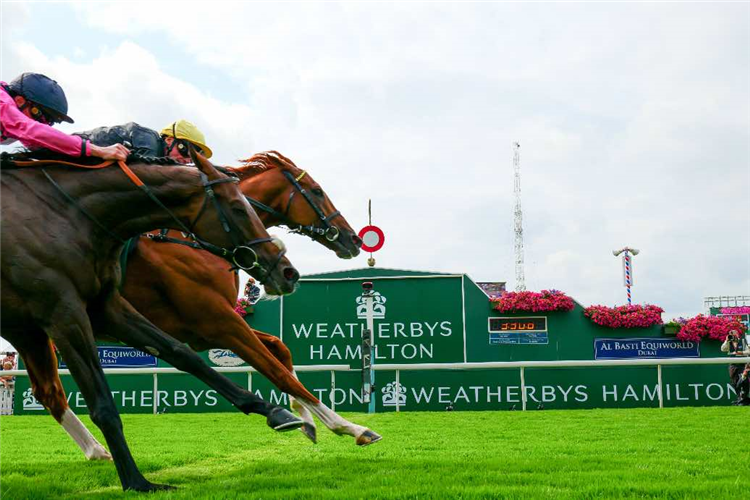 STRADIVARIUS winning the Weatherbys Hamilton Lonsdale Cup Stakes (Group 2) (British Champions Series)