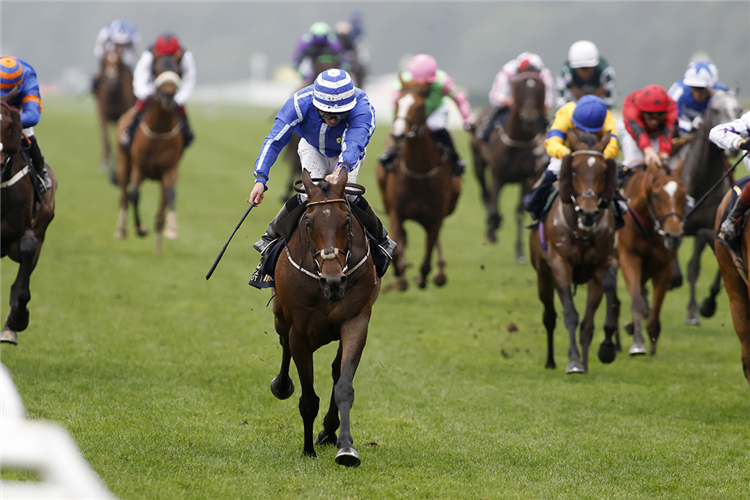 STRATUM winning the Queen Alexandra Stakes (Conditions Race)