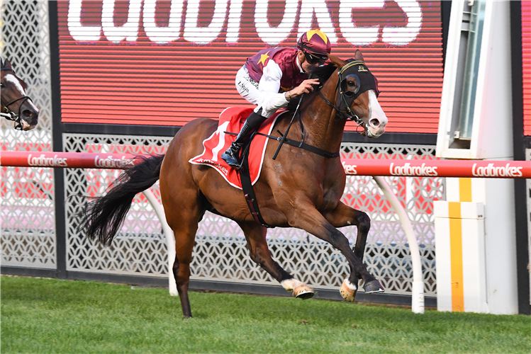 STREETS OF AVALON winning the Ladbrokes Australia Stakes at Moonee Valley in Moonee Ponds, Australia.