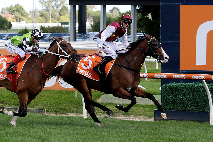 STREETS OF AVALON winning the Neds C.F. Orr Stakes