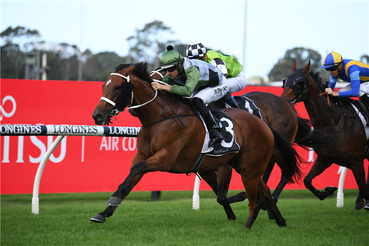 SUBPOENAED winning the Millie Fox Stks at Rosehill in Australia.