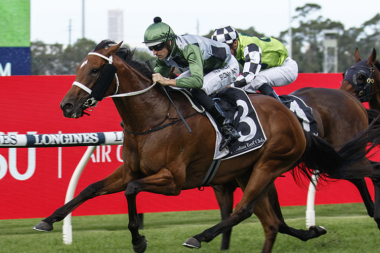 SUBPOENAED winning the Millie Fox Stks