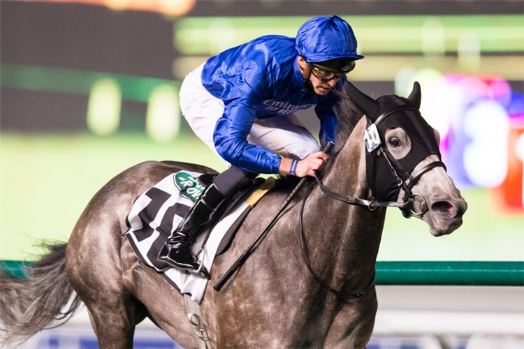 SUMMER ROMANCE winning the Balanchine Sponsored By Range Rover