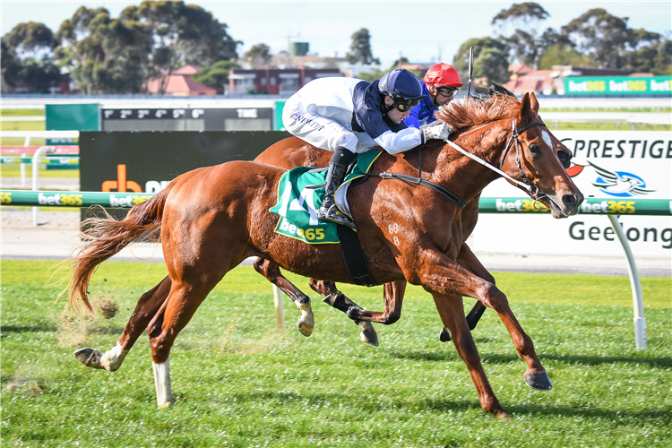 SUNFALL winning the bet365 Odds Drift Protector Two-Years-Old Maiden Plate in Geelong, Australia.