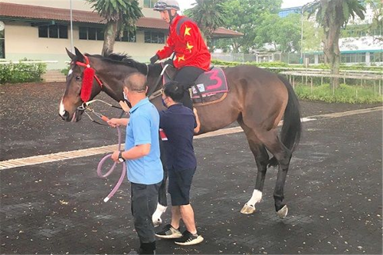 Former jockey Lee Soo Hin (now assistant-trainer to Desmond Koh) gives Danny Beasley a leg-up on Sun Power at the barrier trials last Thursday.