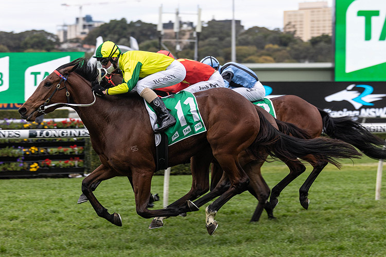 SUNRISE RUBY winning the Tab Highway Hcp (C3)