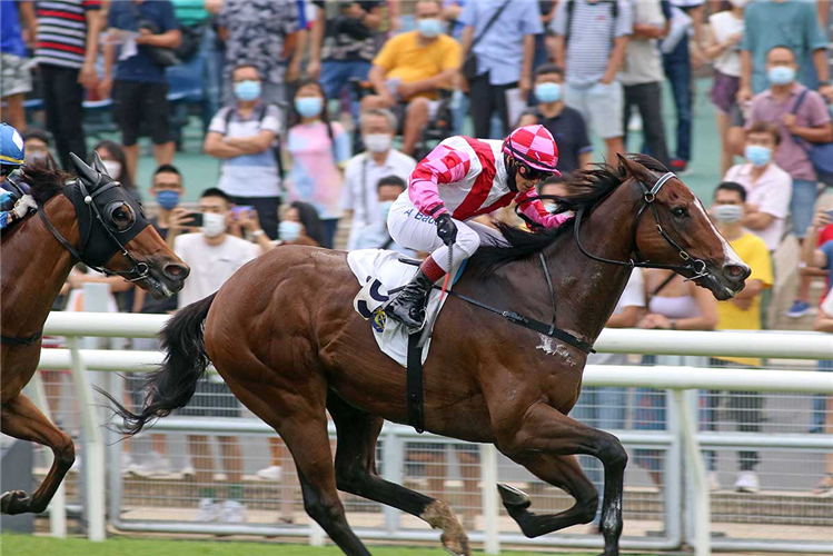 SUPER WEALTHY winning the National Day Cup.