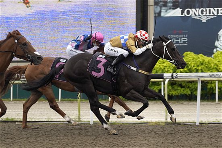 SURPASS NATURAL winning the HAPPY NEW YEAR KRANJI STAKES A