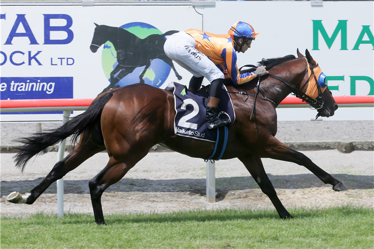 SWORD OF STATE winning the Waikato Stud Slipper