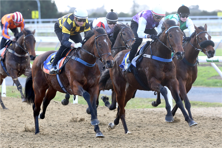 Sword Of State (outside) finishing runner-up in his trial at Cambridge on Tuesday.