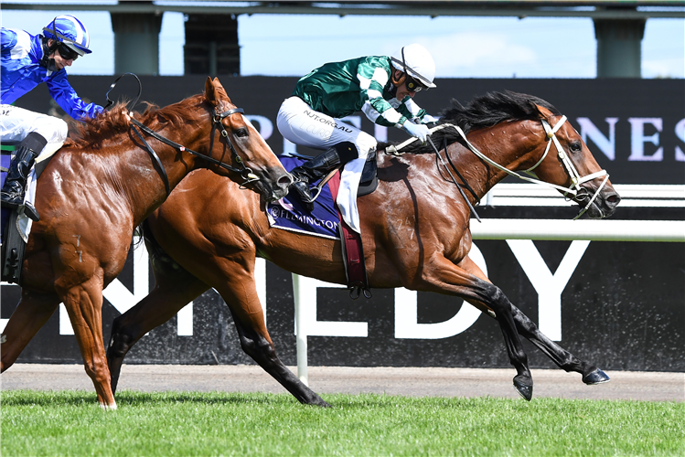 TAGALOA winning the Cs Hayes Stakes at Flemington in Australia.