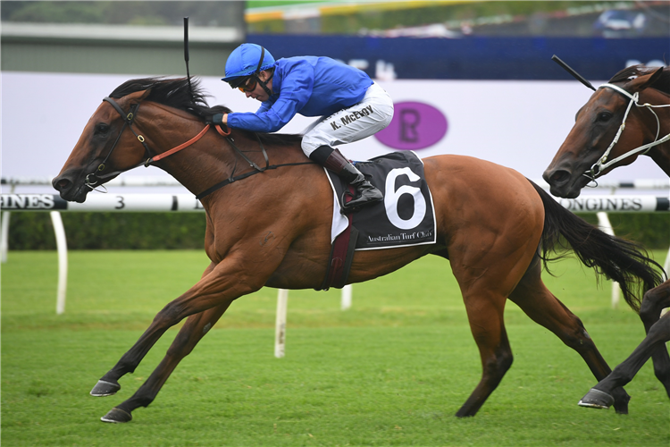 TAILLEUR winning the Robrick Lodge Triscay Stakes at Randwick in Australia.
