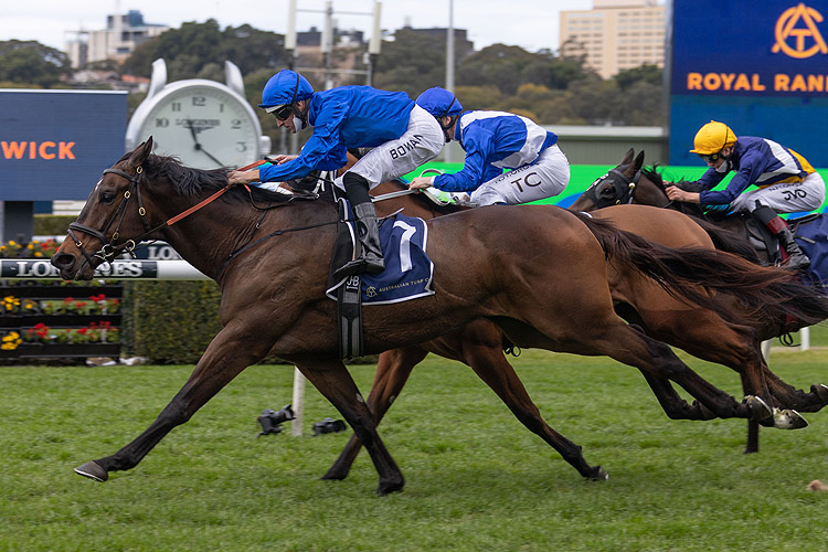 TAMERLANE winning the Atc Thanks Stable Staff (Bm72)