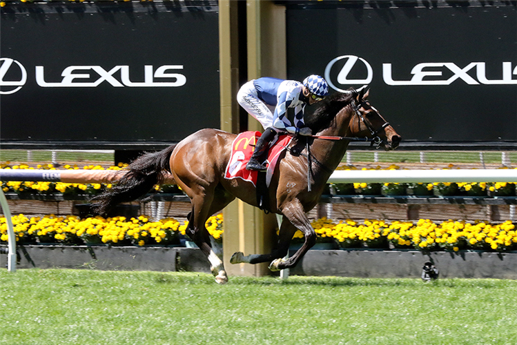 TEAM CAPTAIN winning at Flemington in Australia.