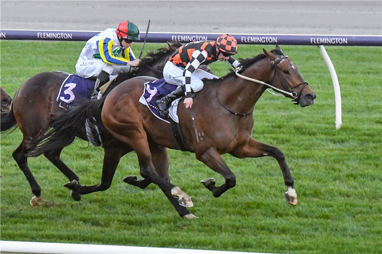 THE ASTROLOGIST winning the Jack Styring OAM Sprint at Flemington in Australia.