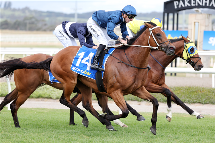 THE AWESOME SON winning the Sportsbet Bet With Mates-Bm78 at Pakenham in Australia.