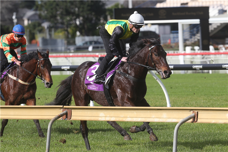 The Chosen One pleased in his 1200m trial at Ellerslie on Tuesday.