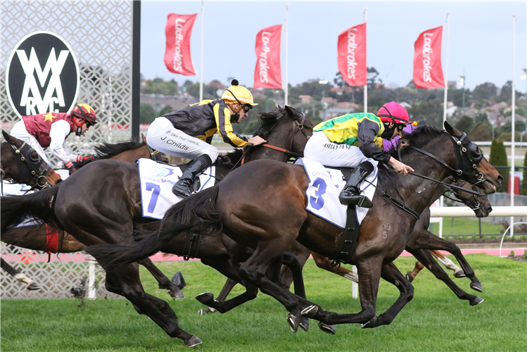 The Chosen One (Red cap) storms home out wide to finish third in the Gr.2 Feehan Stakes (1600m) at Moonee Valley