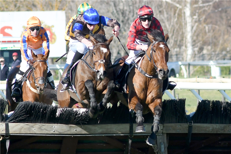 THE COSSACK (left) winning the Hydra-Cell Wellington Hrdl