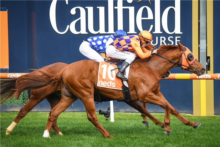 THE GAUCH winning the Same Race Multi Hcp at Caulfield in Australia.