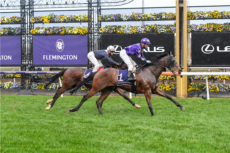 THE GOOD FIGHT winning the Flemington Cup 1849 Hcp at Flemington in Australia.