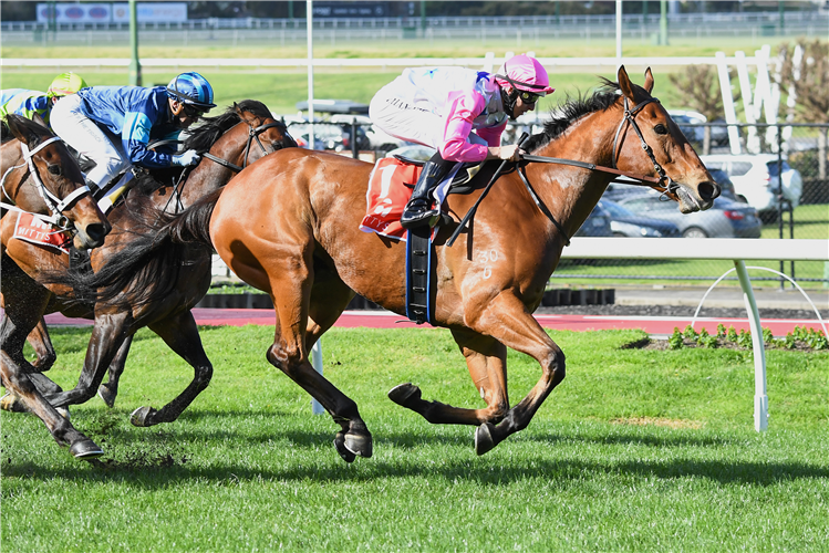 THE INFERNO winning the McEwen Stakes at Moonee Valley in Australia.