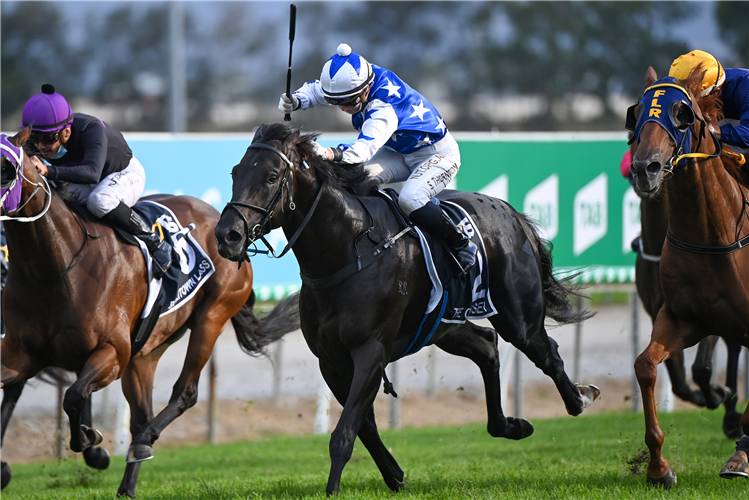 THE ODYSSEY winning the <a href='https://www.tab.com.au/' target='_blank' style='color: #003f44 !important; font-weight: bold;'>$1</a>m Racing Qld Magic Millions at Gold Coast in Australia.