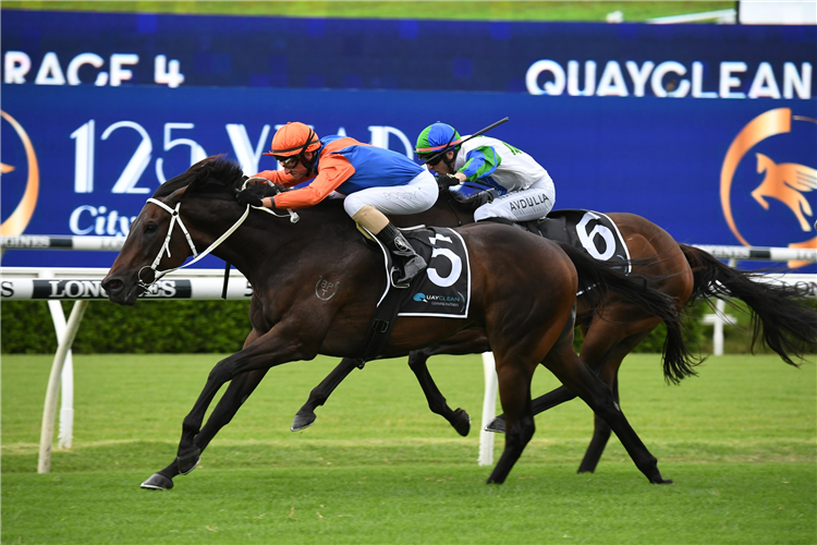THINK IT OVER winning the Quayclean Liverpool City Cup at Randwick in Australia.
