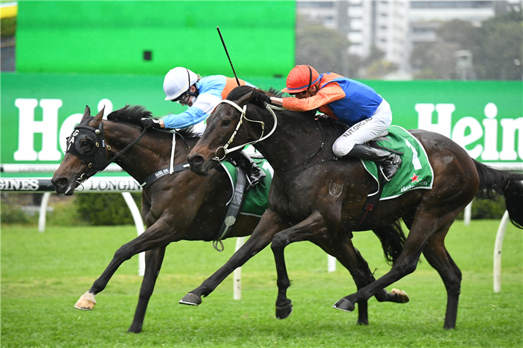 THINK IT OVER (Orange Cap) winning the Chelmsford Stakes at Randwick in Australia.