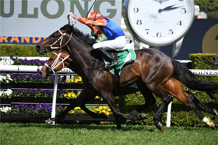 THINK IT OVER winning the Yulong Hill Stks at Randwick in Australia.