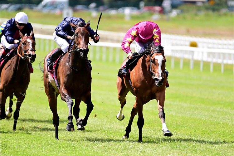 THUNDERING NIGHTS (R) winning the Pretty Polly Stakes.