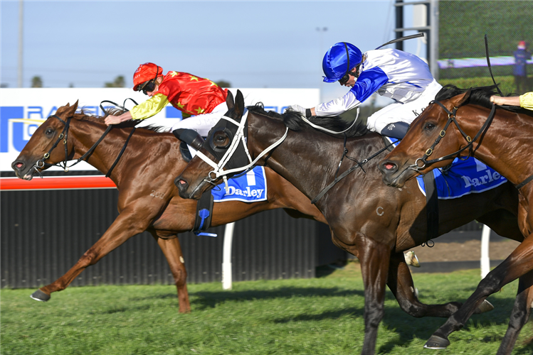 TIGER OF MALAY winning the Darley Up And Coming Stakes at Kembla Grange in Australia.