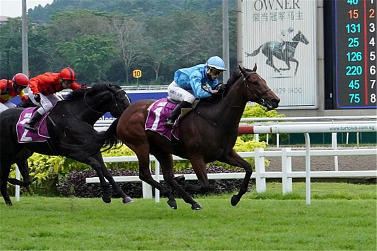 TIGER ROAR winning the SINGAPORE THREE-YEAR-OLD SPRINT GROUP 3
